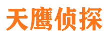 互助侦探公司